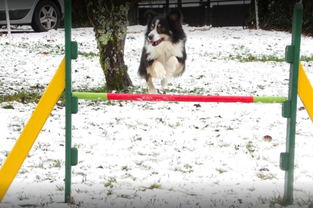 Copie de Agility