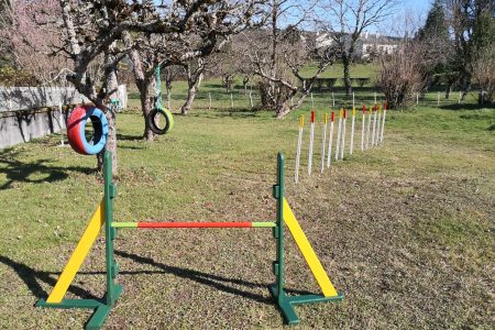 parcours agility