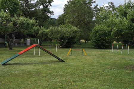 parcours agility(1)